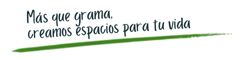 Fichas Tecnicas Grama (8)
